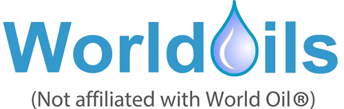 Wousa Logo
