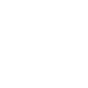 Global Network 1